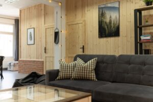 Apartament MT Badger Centrum w Ustrzykach Dolnych